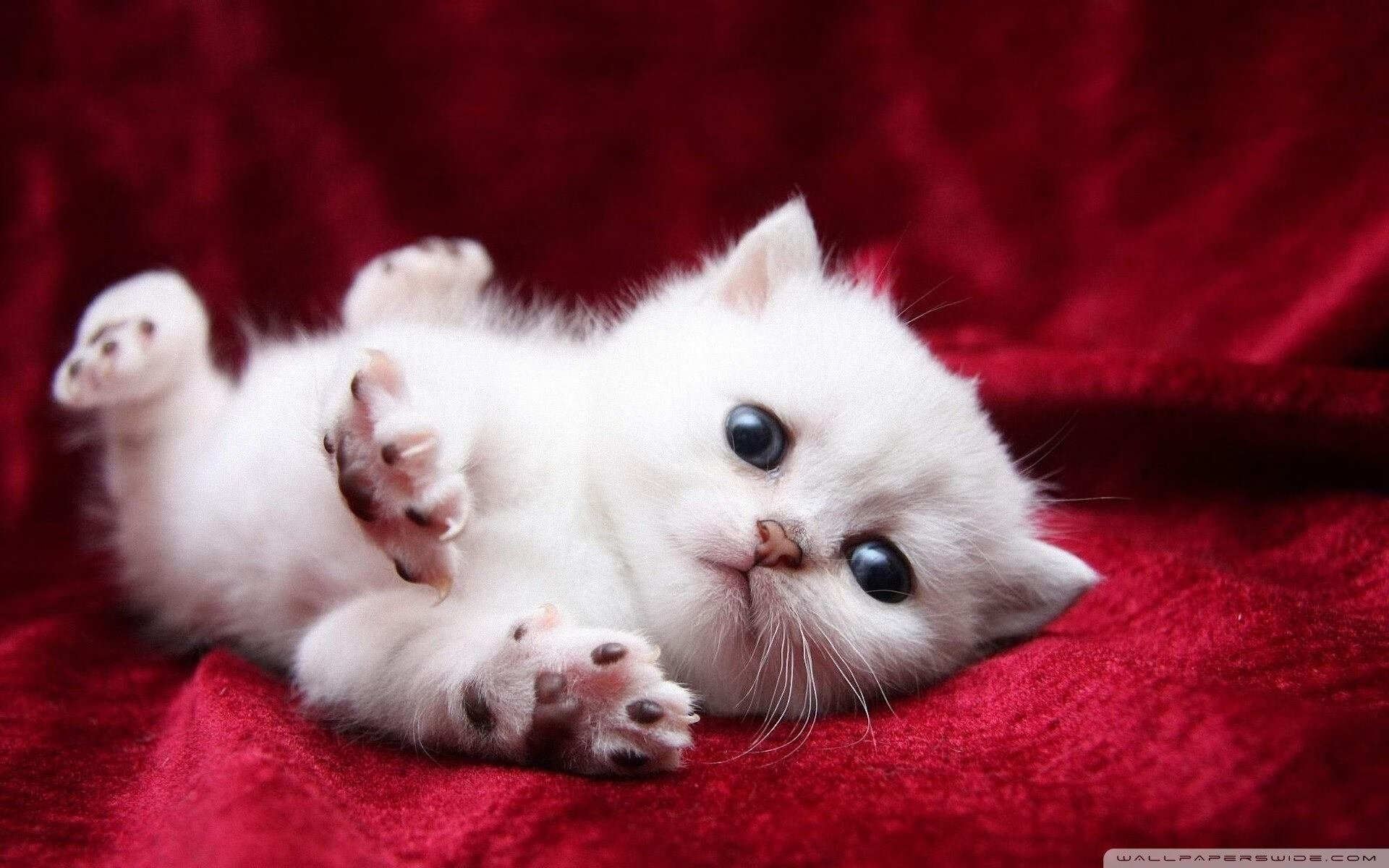 “三叉湖飞盘赛:挑战精准与速度,竞技新高峰”