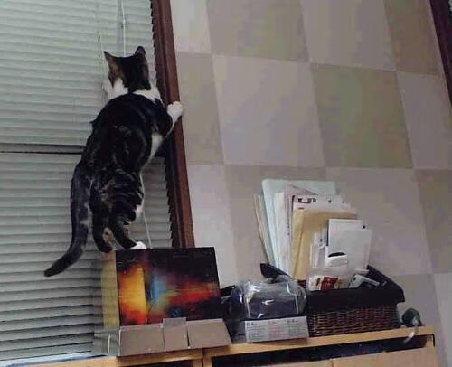 中国三人篮球男队提升转换进攻稳定性，中国男篮三人篮球队员是谁