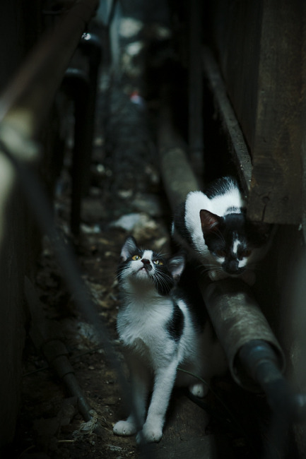 中国女篮比赛节奏加快,中国女篮比赛状况