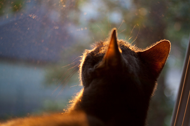 国家队战术理念是否落后于时代，国家队战术后仰