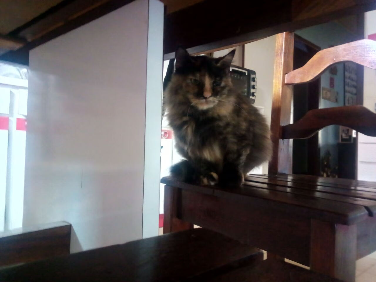 外援政策是否制约本土球员成长空间,外援新规