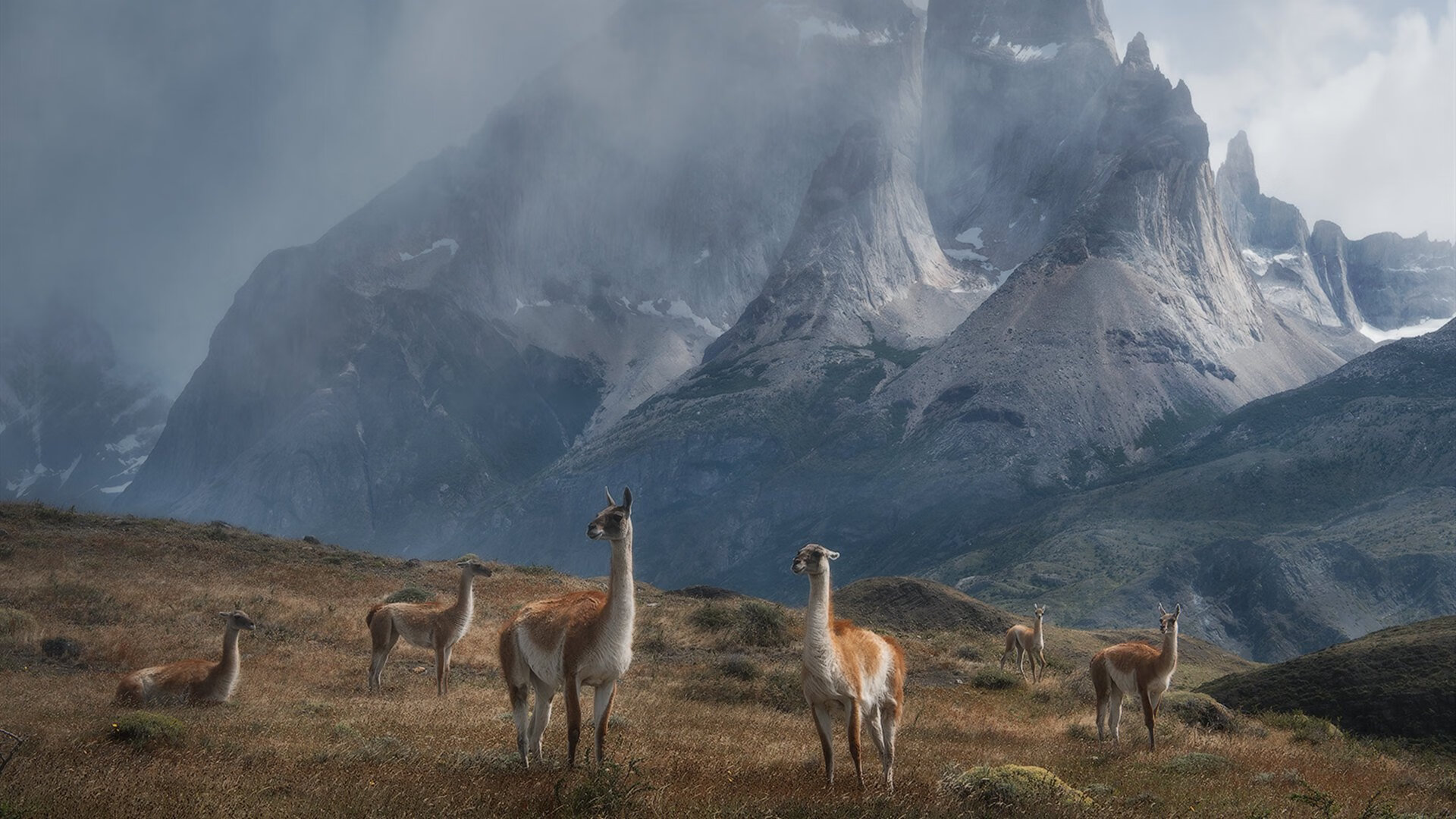罗马尼亚队赛制解析：如何通过战术创新应对赛事中不同的竞争压力