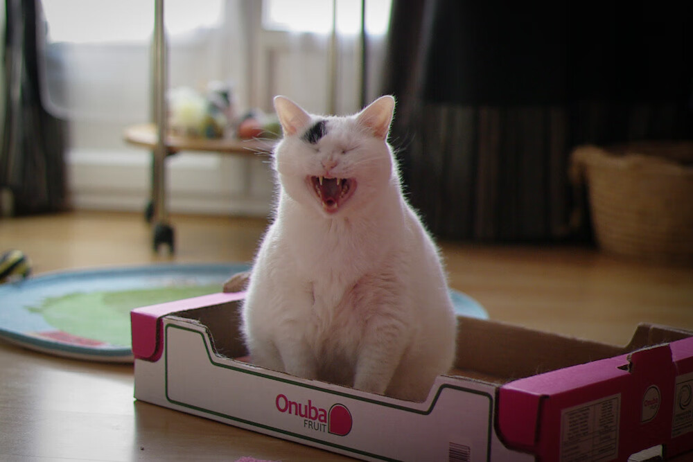 维拉开局高压打破僵局控制比赛节奏，维拉阵型