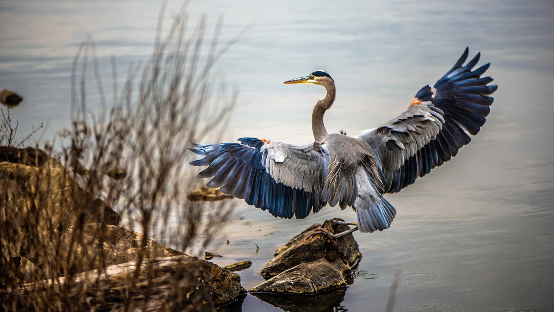 足球门将专项技术训练课程全国铺开，足球门将规则小技巧