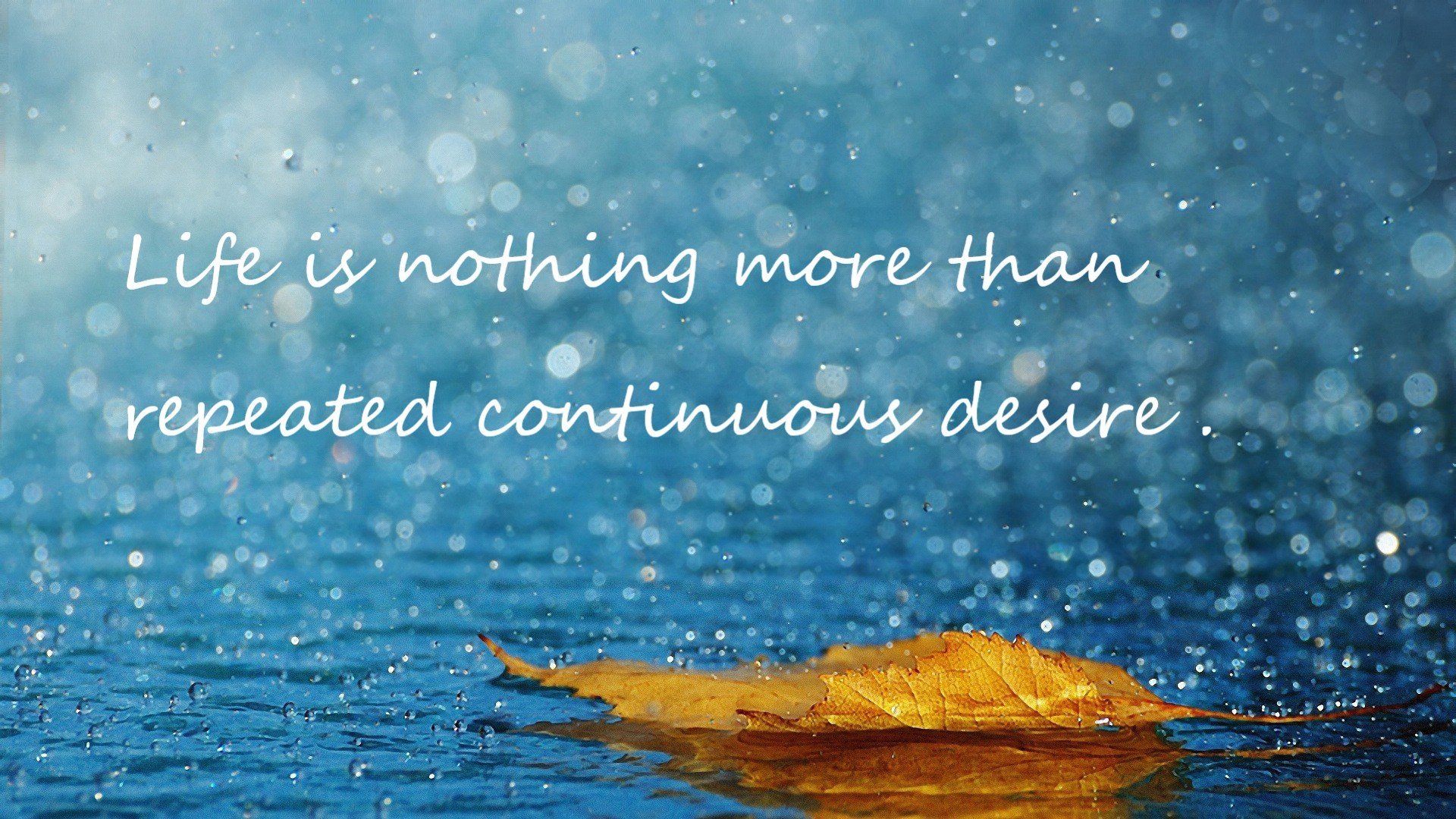 “马丁·高尔西成为美洲狮队防线的中流砥柱,展现强大领导力”