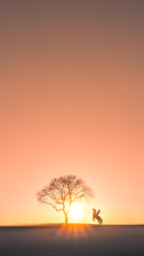 乐鱼体育官网下载-世界杯比赛中的战术变化趋势，世界杯比赛分析